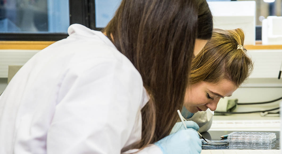 Students working in the lab